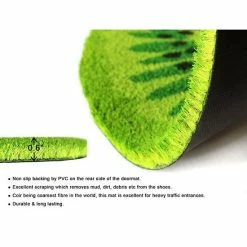 RugSmith Kiwi Doormat 9 RugSmith Kiwi Doormat -RugSmith Shop unnamed file 480