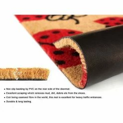 RugSmith Lady Bug Doormat -RugSmith Shop unnamed file 838